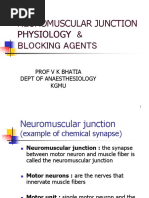 Neuromuscular Junction Physiology & Blocking Agents: Prof V K Bhatia Dept of Anaesthesiology Kgmu