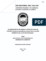 SusanaEdith Tesis Tituprofesional 2014 PDF