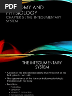 Integumentary System