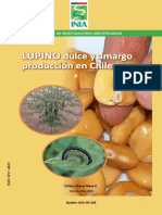 Lupino Dulce y Amargo