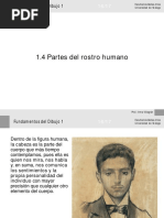 1.4 Partes Del Rostro PDF