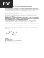 Antes de Calcular El Tamaño de La Muestra Necesitamos Determinar Varias Cosas