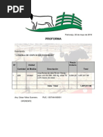 Proforma Asociacion