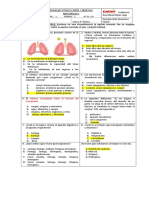 Primer Semestre Prueba N°2 (Sistema Respiratorio) PAUTA