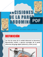 Incisiones de La Pared Abdominal