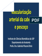 Vascularização Arterial Da Cabeça e Pescoço 08.10.2018