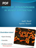 Effect of Tetanospasmin