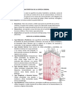 Corteza Cerebral