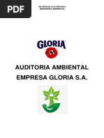 Auditoria Ambiental Empresa Gloria S