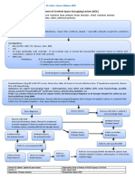 Pathway For Management of Cerebral SOL V3 March 2018