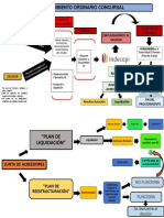 Procedimiento Concursal Ordinario