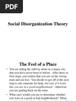 11-Social Disorganization Theory