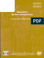 Derechos de Los Campesinos. Cecilia Judith Mora-Donatto.