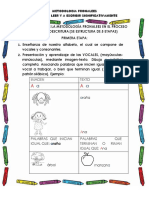 Metodologia Pronales