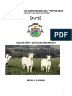 Folleto Cabras