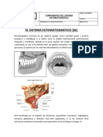 Documento Componentes Del Sistema Estomatognatico