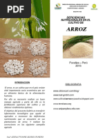 B Boletin #03 Deficiencias Nutricionales Del Arroz 2015