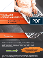 Teknik Audit Berbantuan Komputer