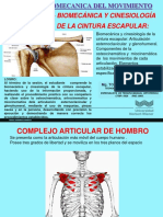 4 Biomecanica Hombroglenoidea PDF