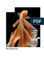 Pez Bailarina