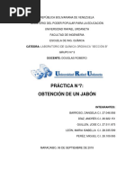 Informe N°7 Lab Orgánica