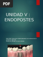 Unidad V Endopostes y Muñones