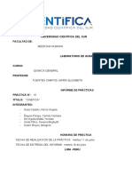 Informe 10 Química