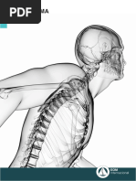 El Sistema Fascial