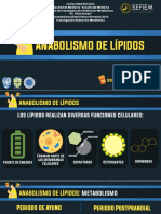 Diapos Curso de Anabolismo de Lipidos. Néstor Galban