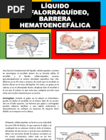 Liquido Cefalorraquideo y Barrera Hematoencefálica