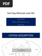 Clay Minerals and CEC