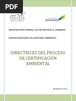 Directrices Proceso Certificaci N 2017 Completo