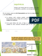 Ciclos Biogeoquimicos