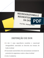 Anatomia Da Dor