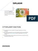 Cytoplasm: Cytoplasm Consists of All of The