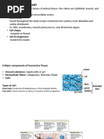 Connective Tissue