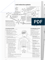 8.1 The Nervous and Endocrine Systems: Neurones (Or Neurons)