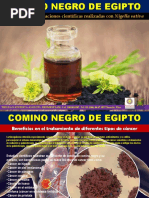 Comino Negro de Egipto