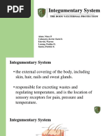 Integumentary System: The Body'S External Protection