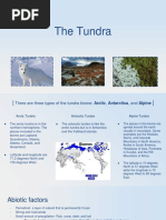 Tundra