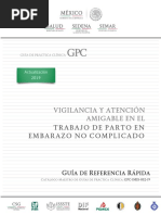 Vigilancia y Atención Amigable en El Trabajo de Parto en Embarazo No Complicado