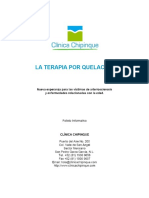 La Terapia Por Quelación PDF