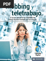 Acoso Laboral y Teletrabajo