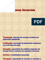 Sistemas Sensoriais