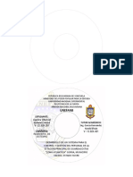 Formato de CD Pasantia