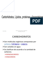 Carbohidratos Lipidos