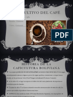 El Cultivo Del Café