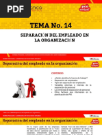 14-Separación Del Trabajador VL PDF