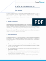 4.1 La Flotación de Minerales