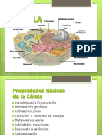 Propiedades de La Célula